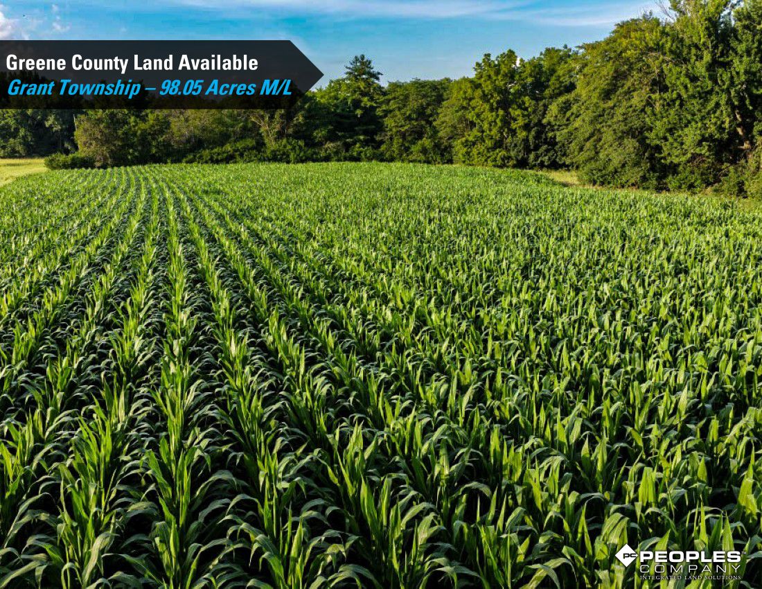 Listing Photo: Greene-County-Iowa-Recreational-Land-Available-98-Acres-19559 (18)